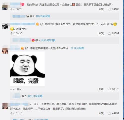 吴瑾言最新爆料消息视频,揭秘幕后的真实故事  第2张
