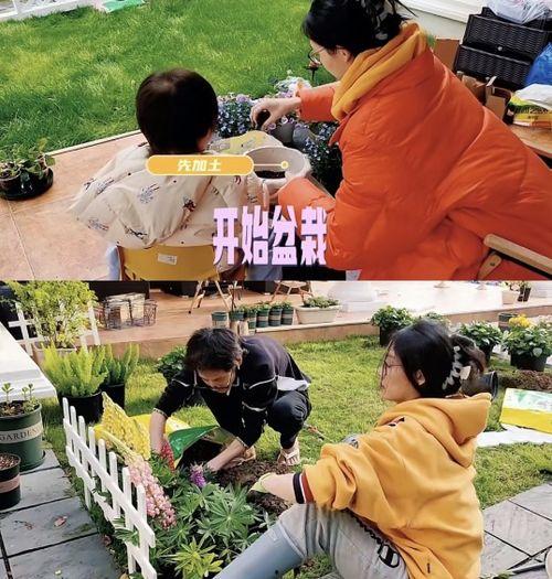 苗苗最新爆料房子租的,揭秘租房背后的故事  第1张