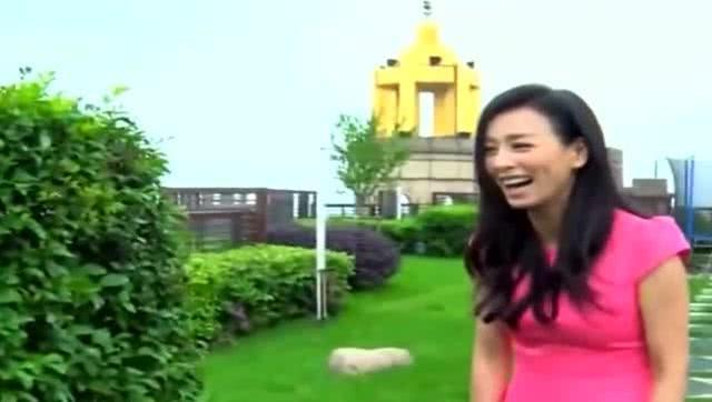 张庭网友爆料视频大全集,揭秘娱乐圈风云变幻 第2张 张庭网友爆料视频大全集,揭秘娱乐圈风云变幻 第2张