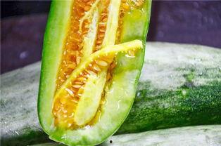 被吃瓜的网红,揭秘背后真相与争议  第3张