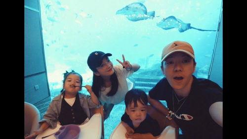 娱乐圈爆料王栎鑫是谁,揭秘“爆料王栎鑫”背后的真相  第3张